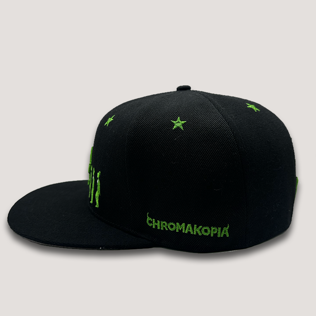 CHROMA FITTED HAT