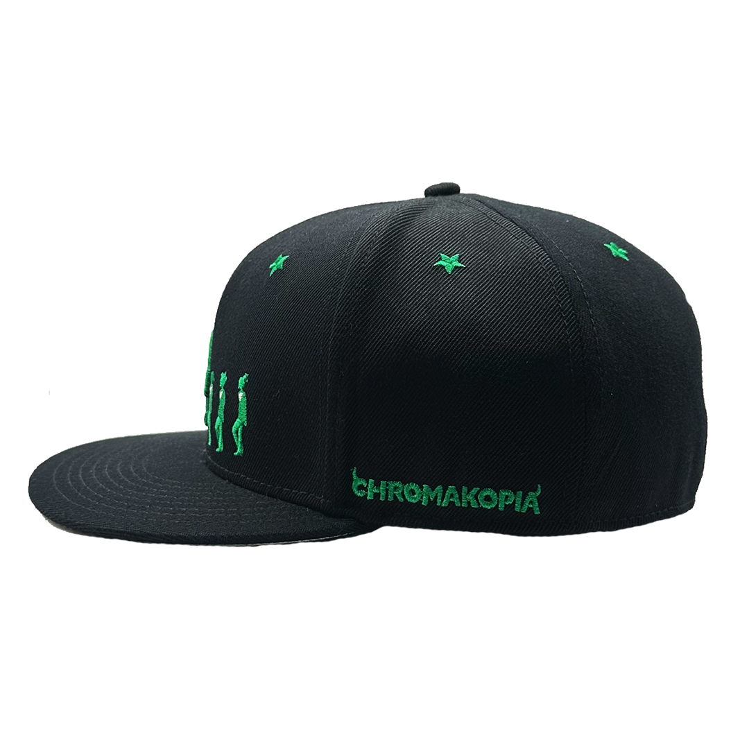 Black Chroma Fitted Hat 