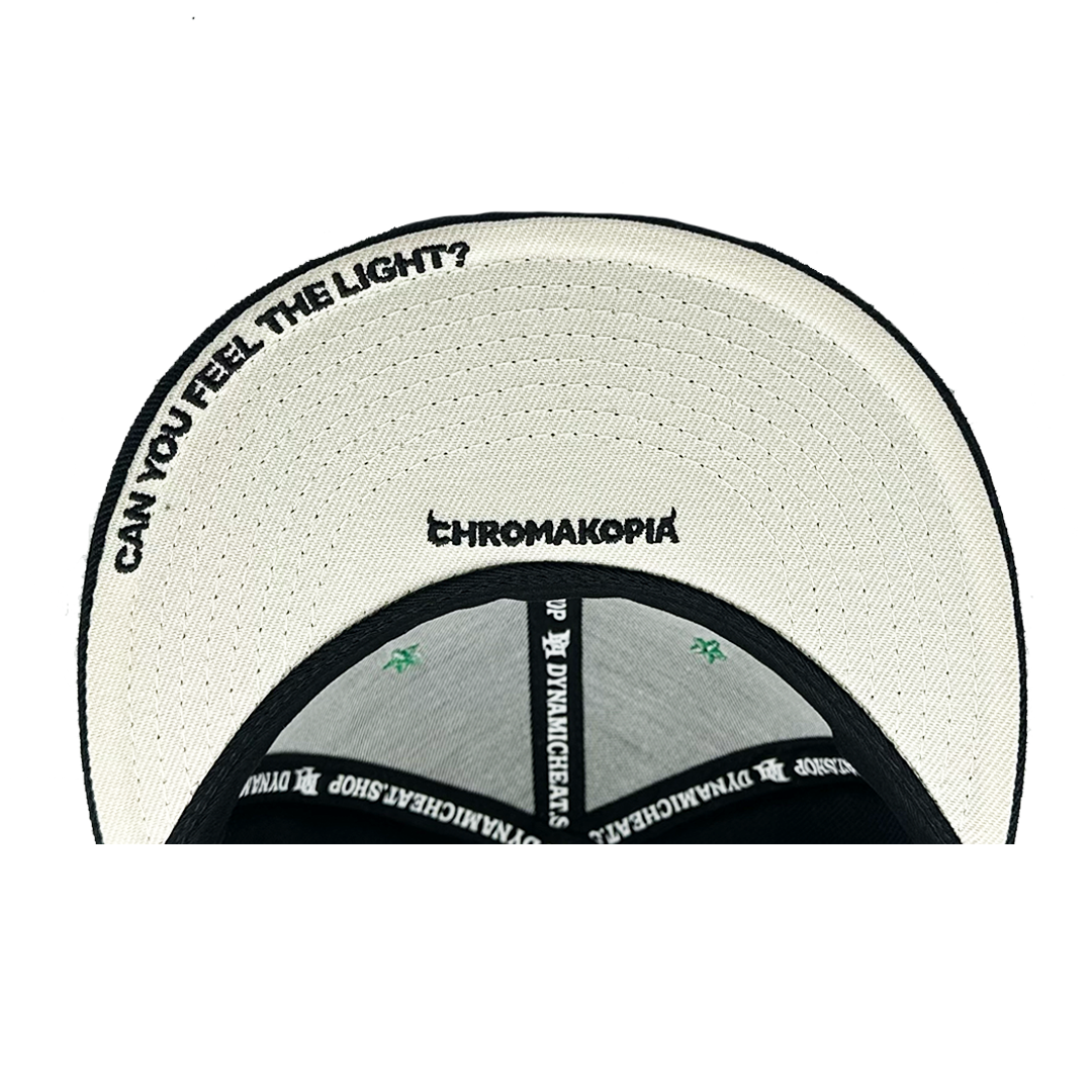 Black Chroma Fitted Hat 