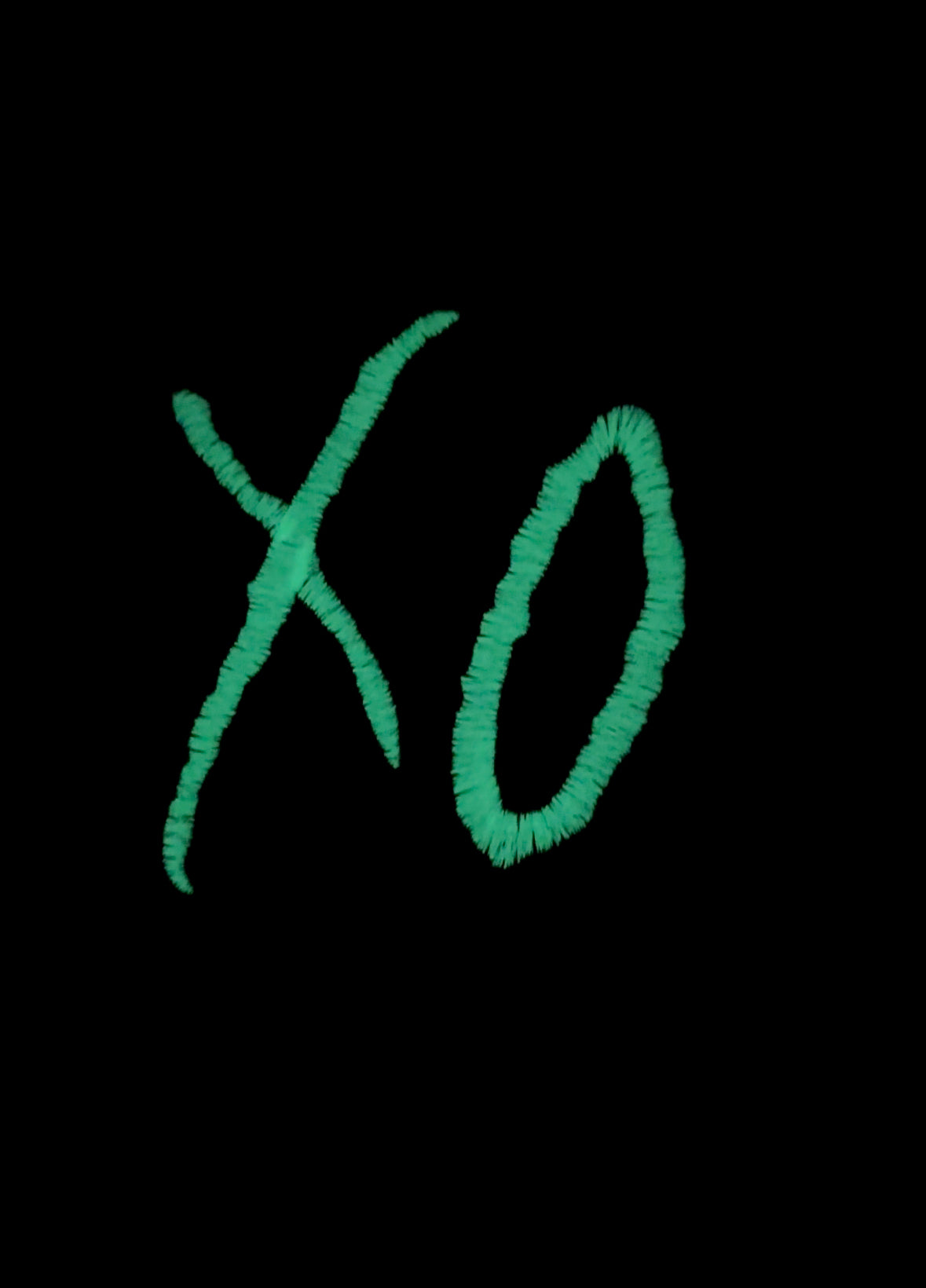 XO Embroidered hoodie WITH BACK DESIGN
